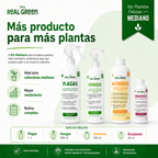 Kit Plantas Felices