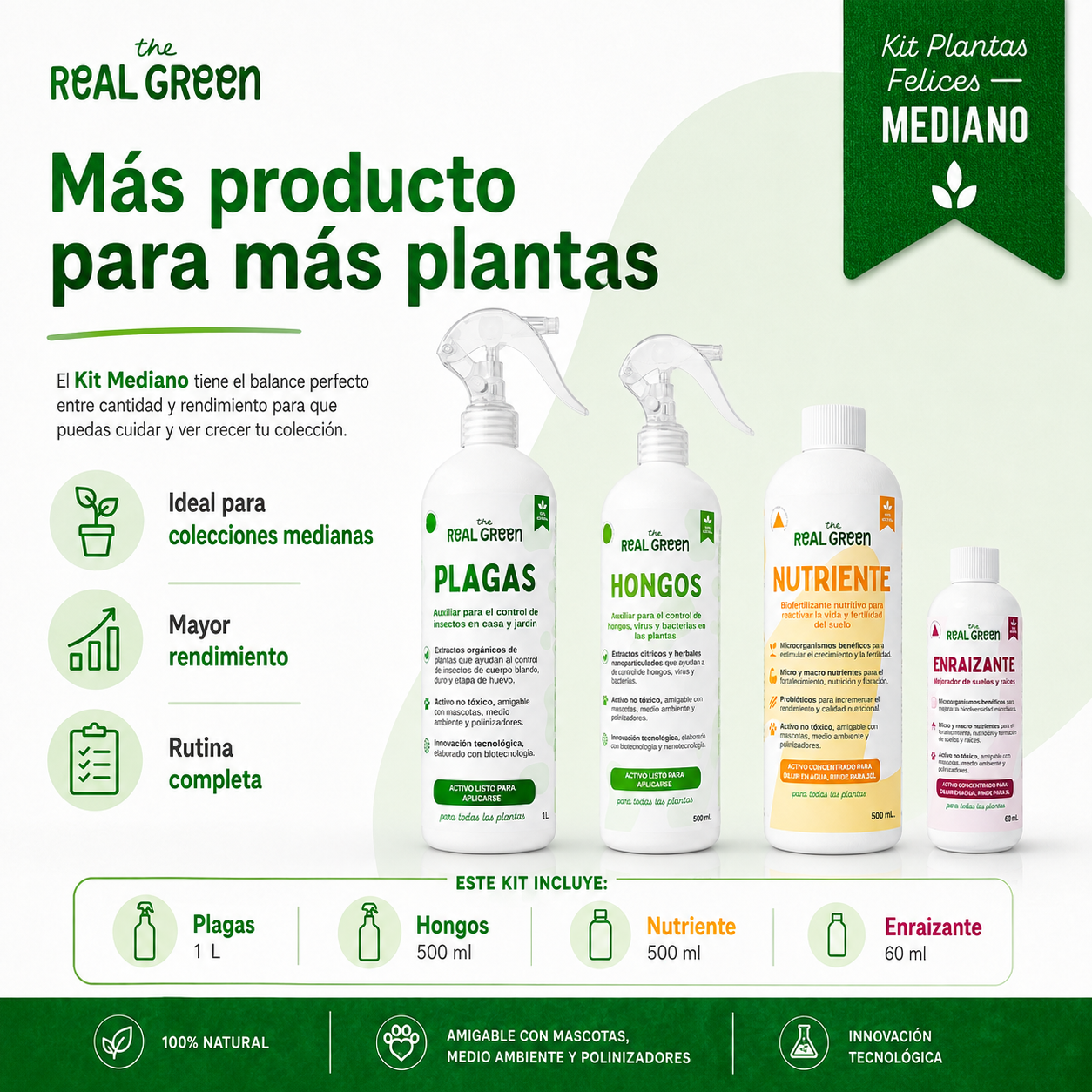 Kit Plantas Felices