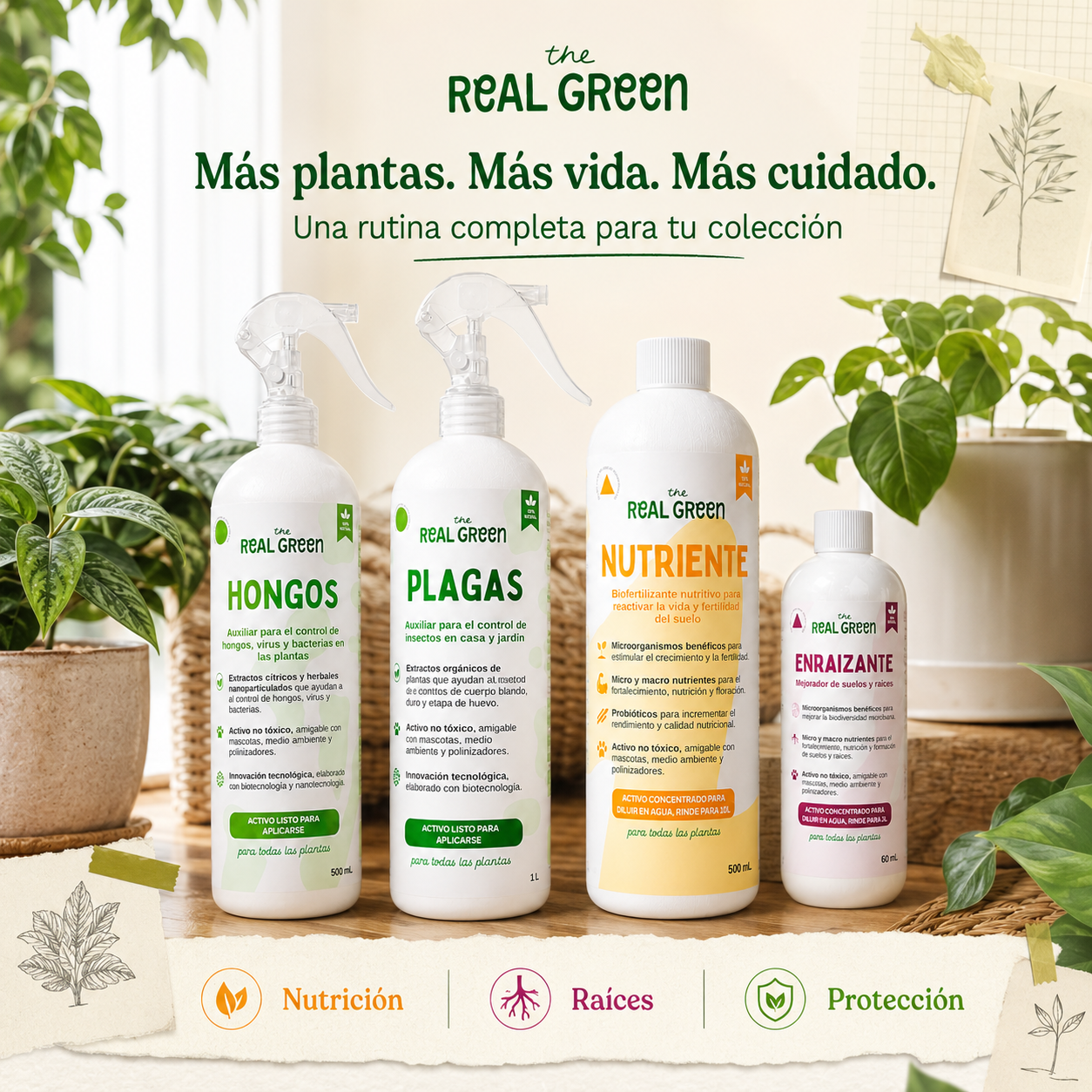 Kit Plantas Felices