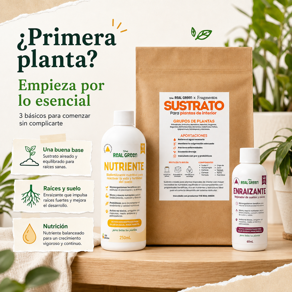 Kit Para principiantes K