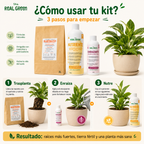 Kit para principiantes