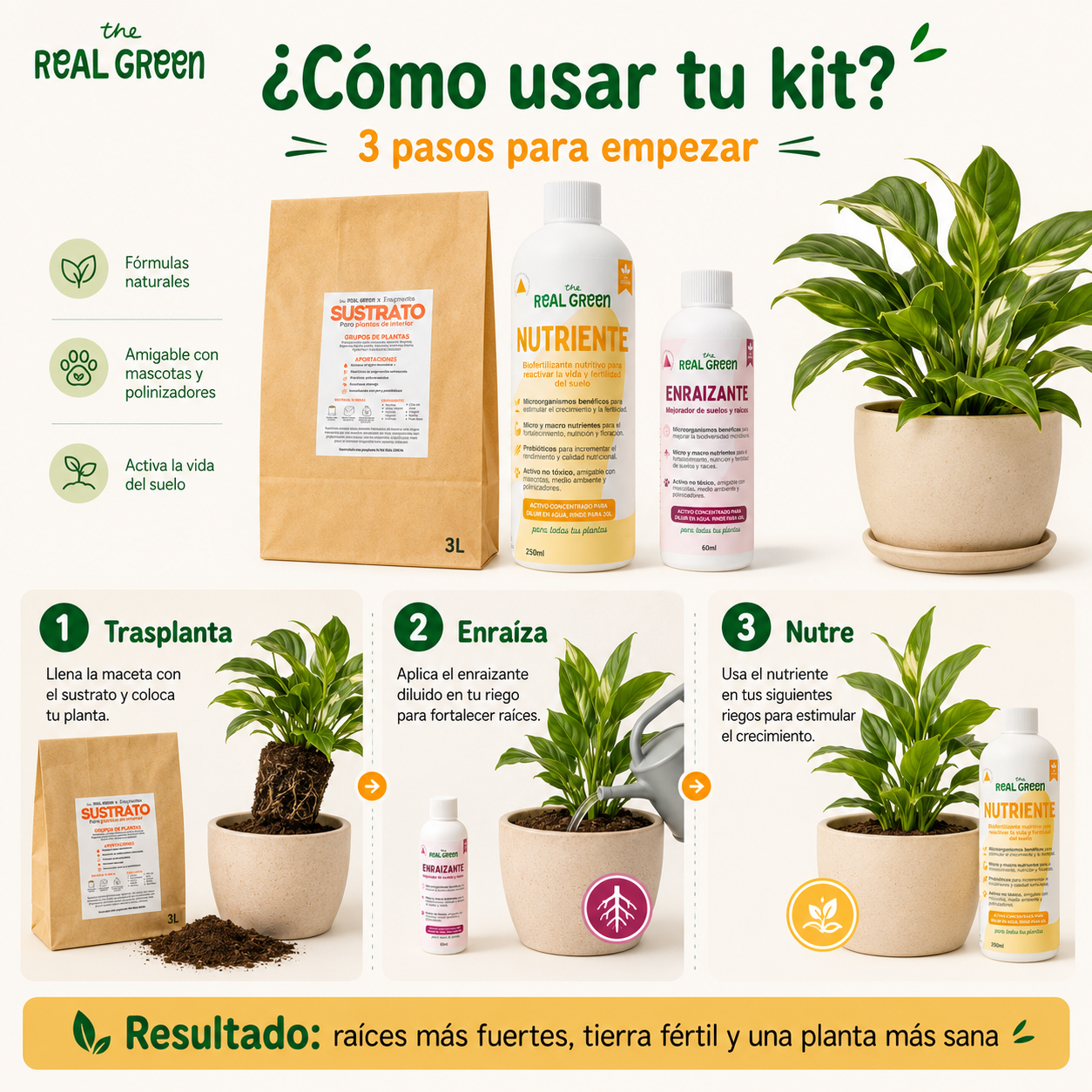Kit para principiantes
