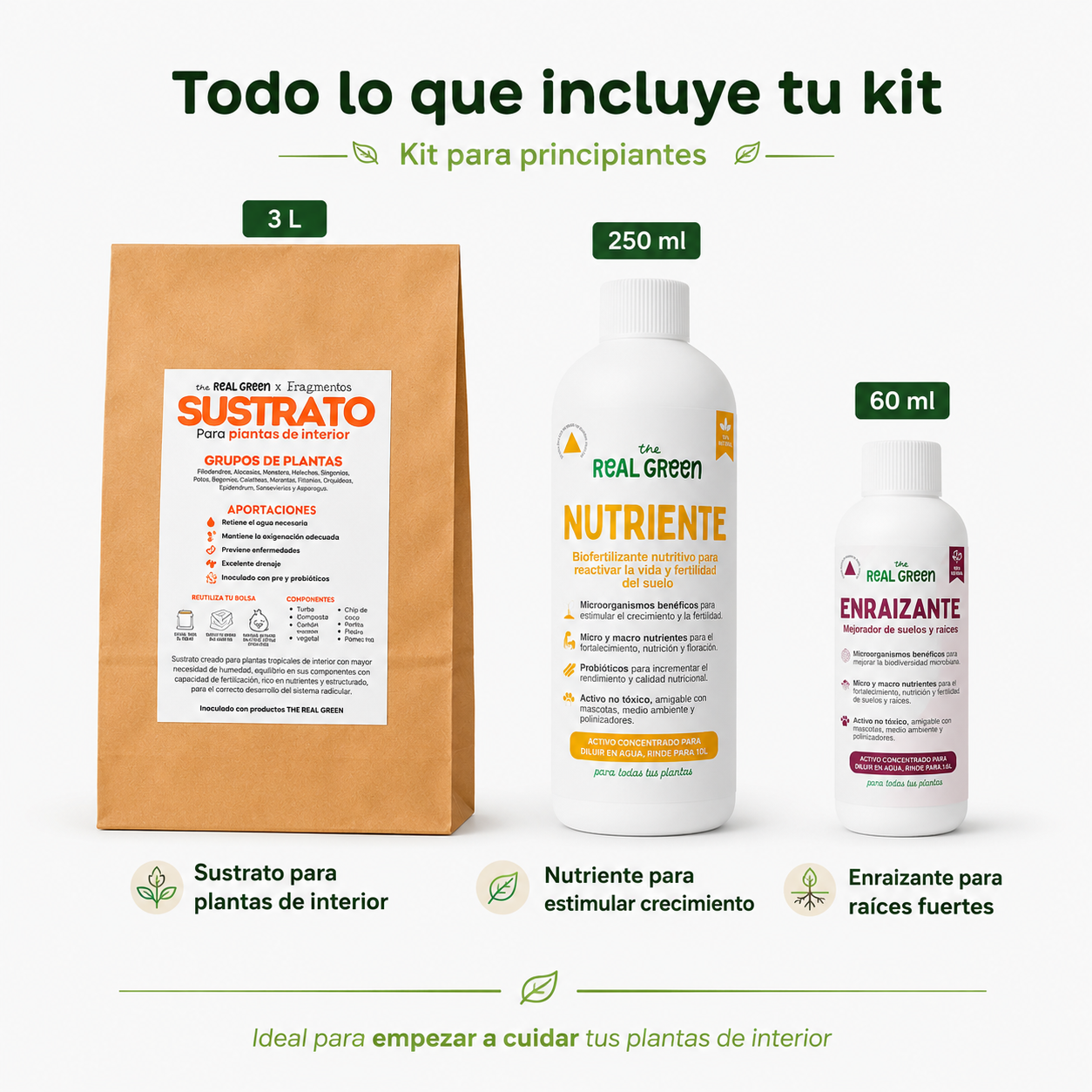 Kit para principiantes