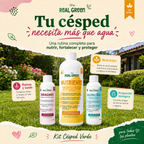 Kit Césped Verde K