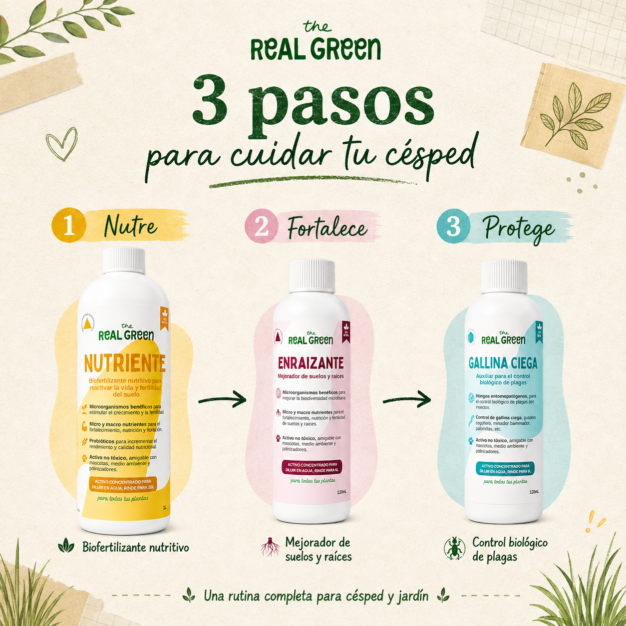Kit Césped Verde K