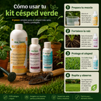 Kit césped verde