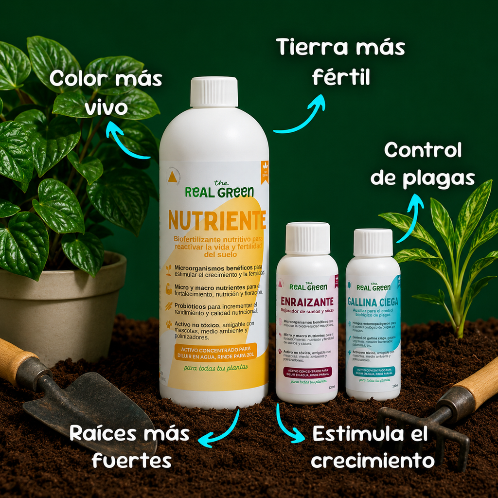 Kit césped verde