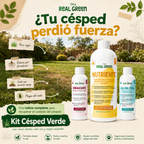 Kit Césped Verde K