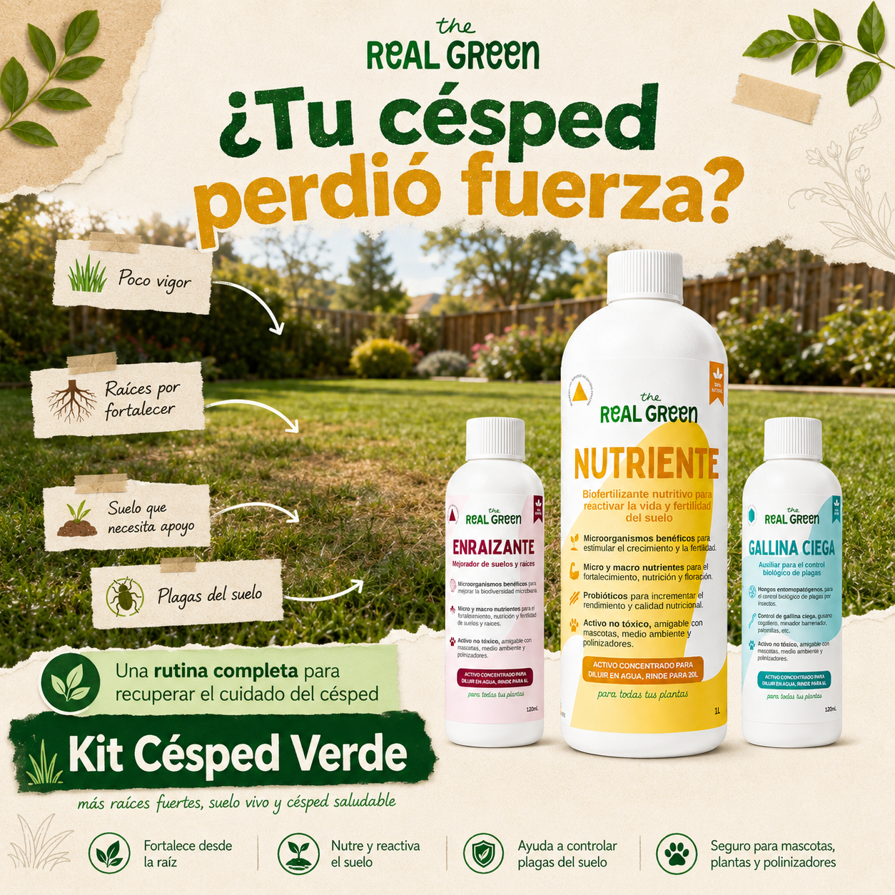 Kit Césped Verde K