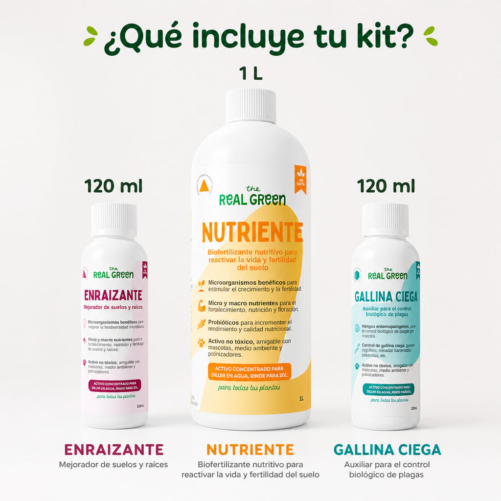 Kit césped verde