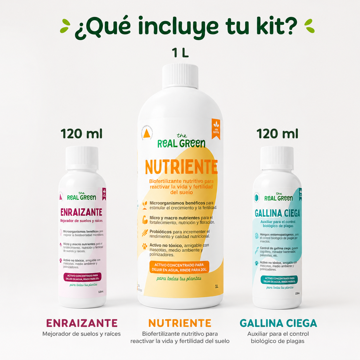 Kit césped verde