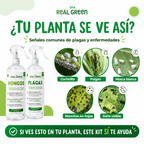 Kit Plagas + Hongos Chico
