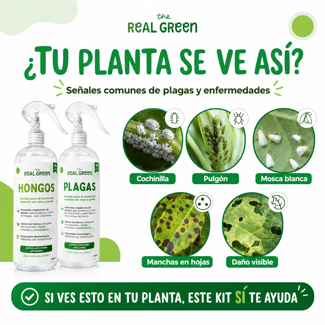 Kit Plagas + Hongos Chico