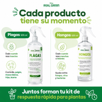 Kit Plagas + Hongos Chico