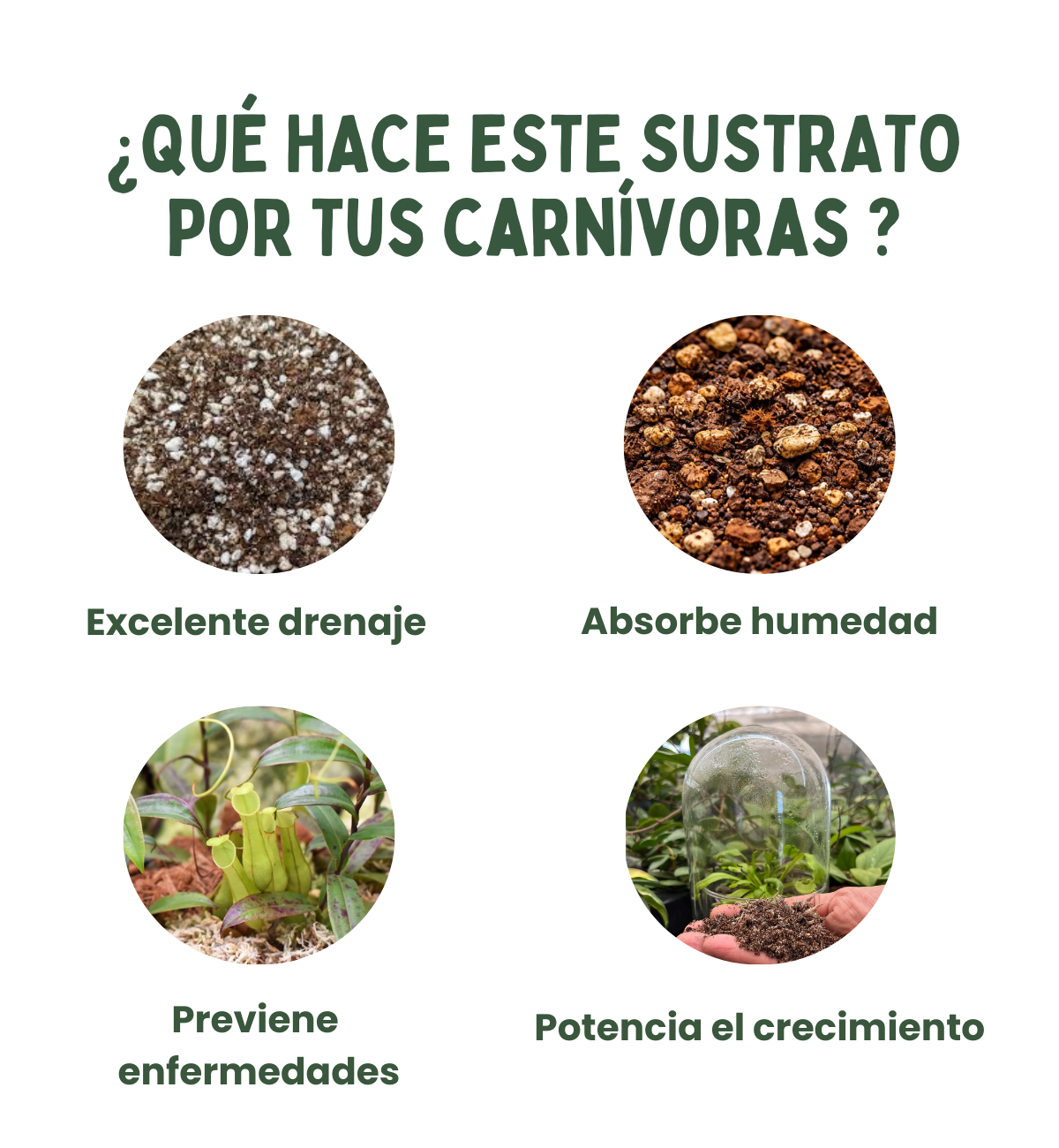 Sustrato para plantas carnívoras 3L