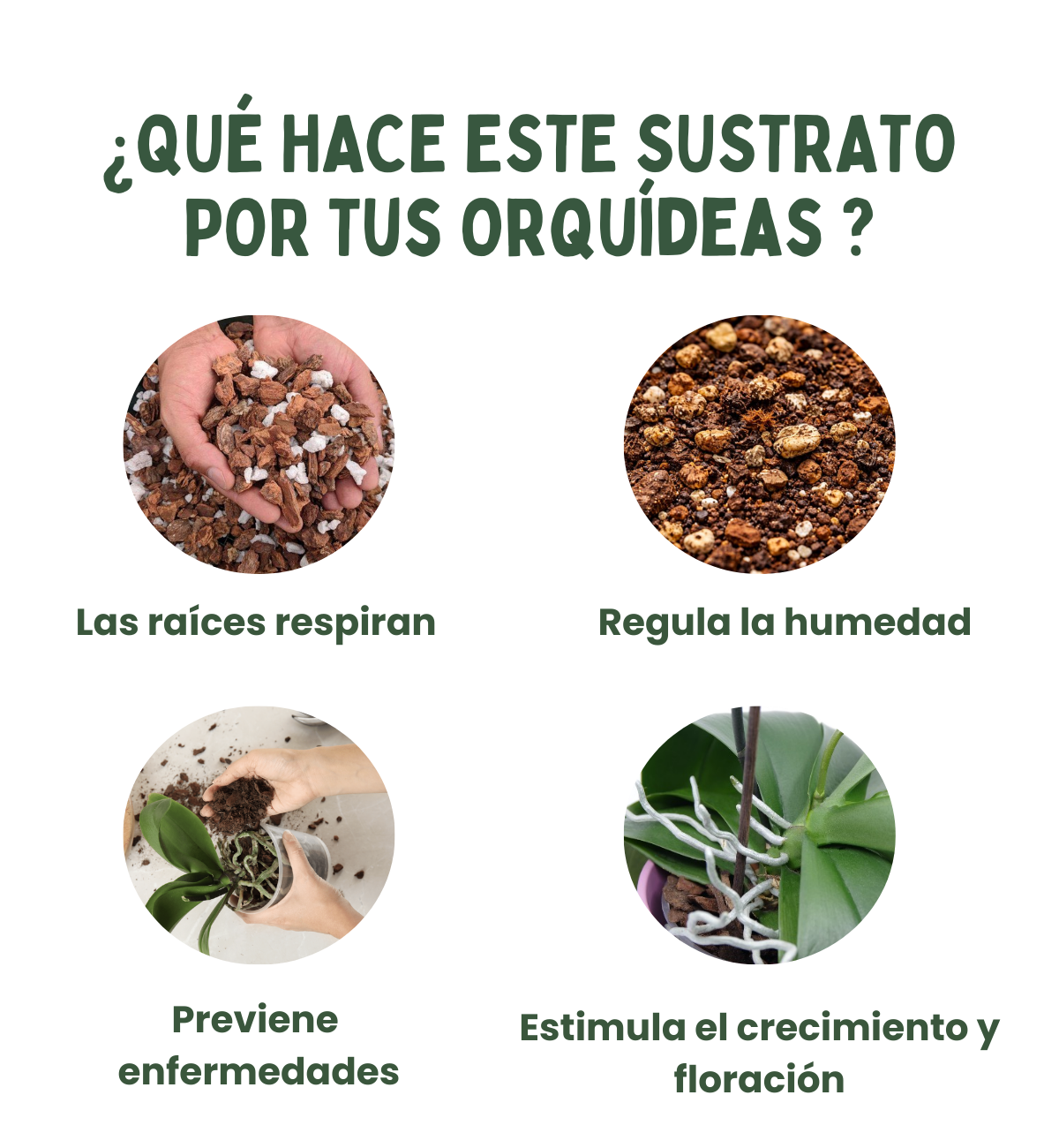Sustrato para orquídeas 3L