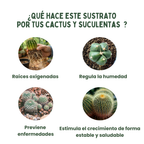 Sustrato para cactáceas y suculentas 3L