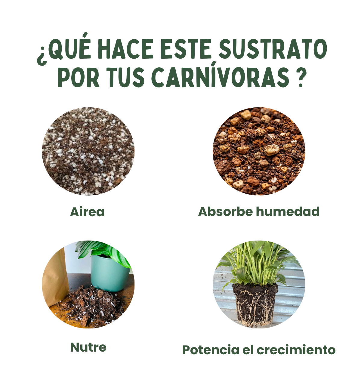 Sustrato para plantas de interior 3L