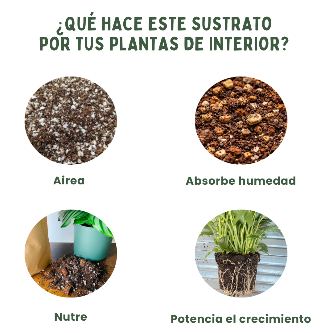 Sustrato para plantas de interior 3L