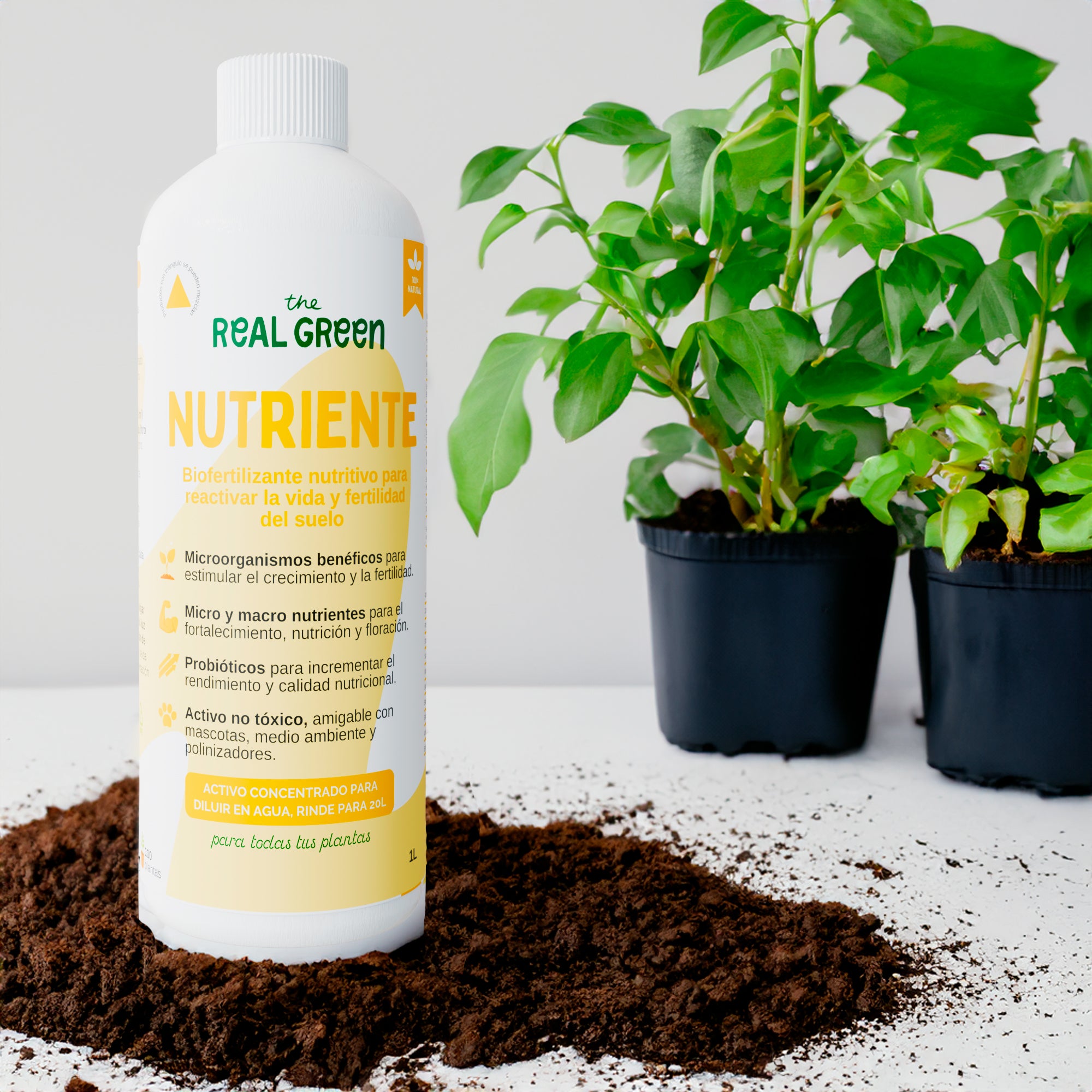 Bio-fertilizante nutritivo