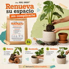 Sustrato para plantas de interior 3L