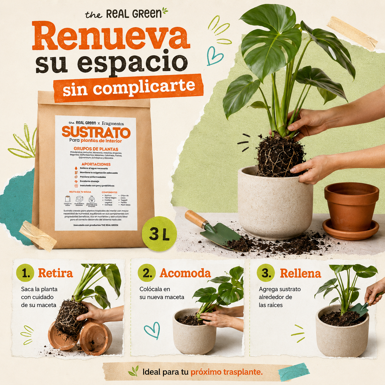 Sustrato para plantas de interior 3L