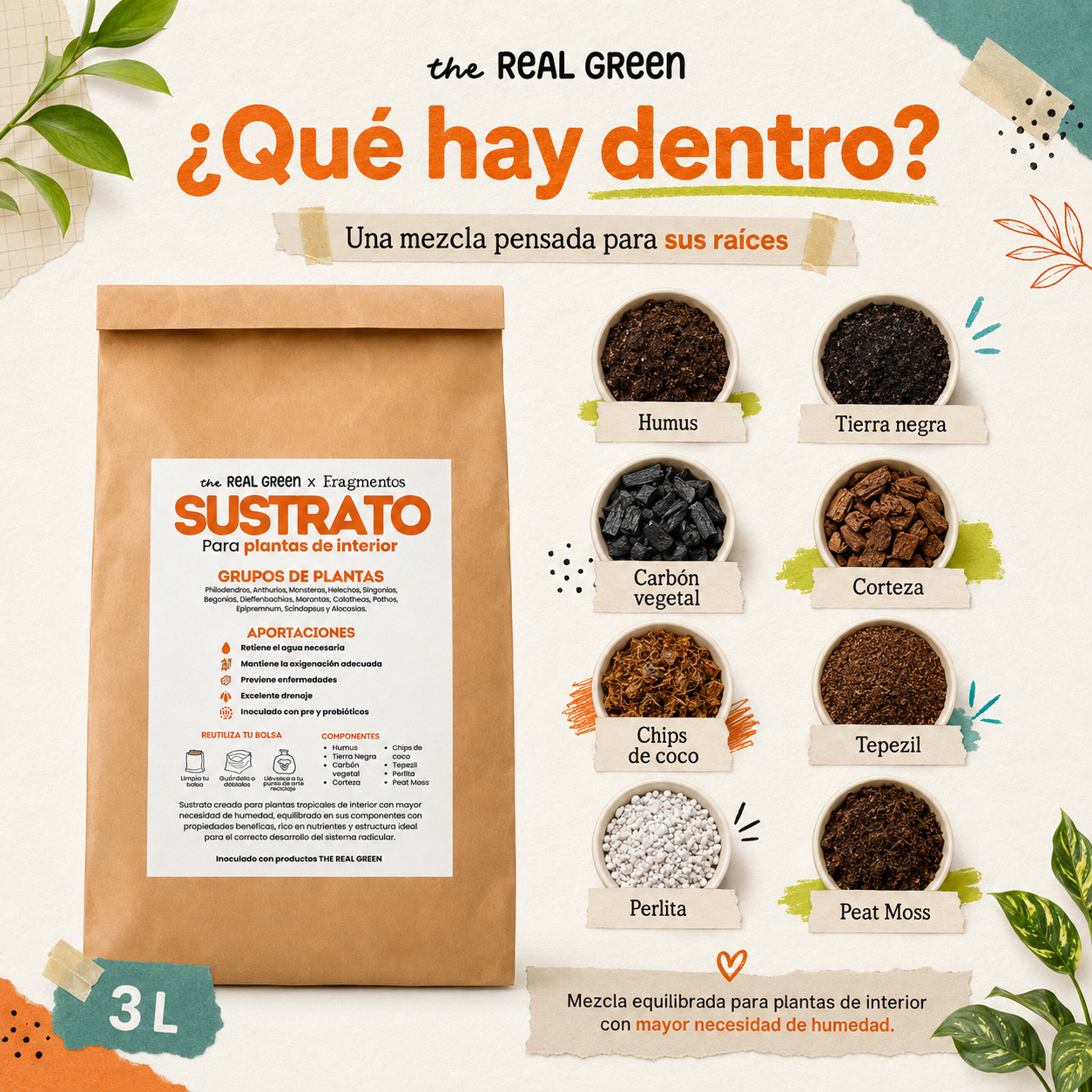 Sustrato para plantas de interior 3L