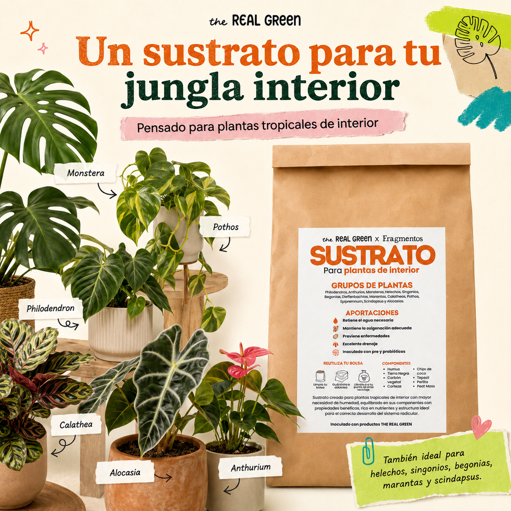 Sustrato para plantas de interior 3L