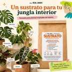 Sustrato para plantas de interior 3L