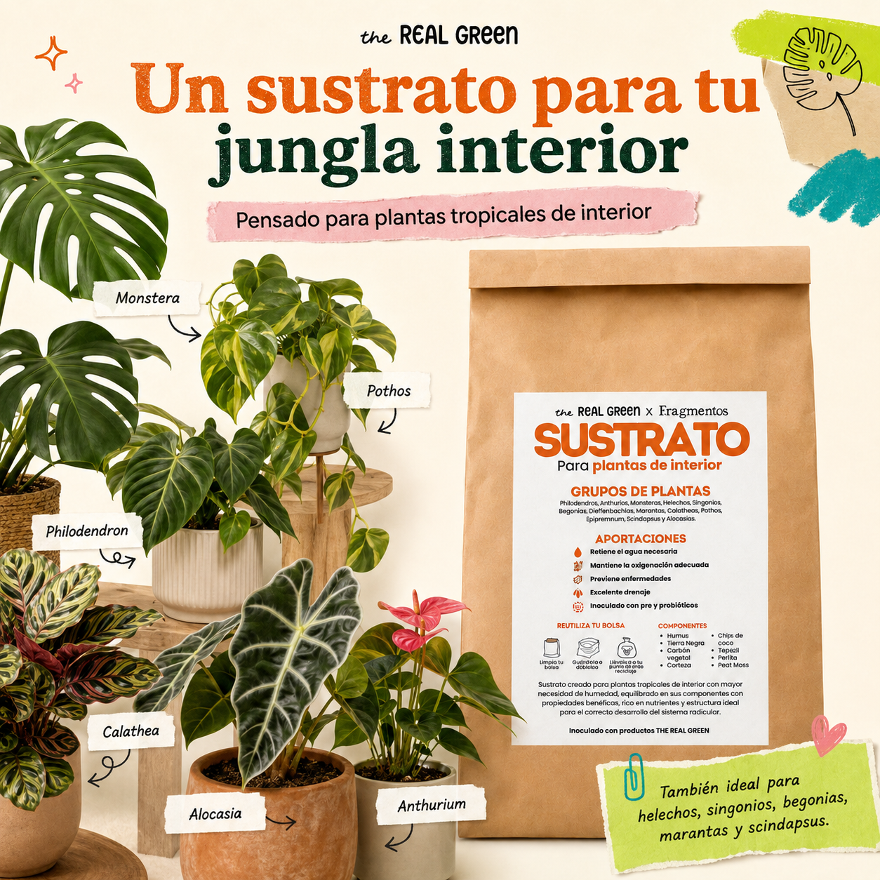 Sustrato para plantas de interior 3L