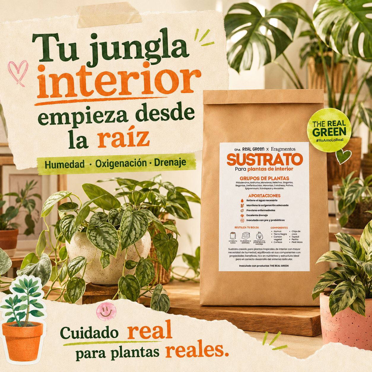 Sustrato para plantas de interior 3L