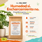 Sustrato para plantas de interior 3L