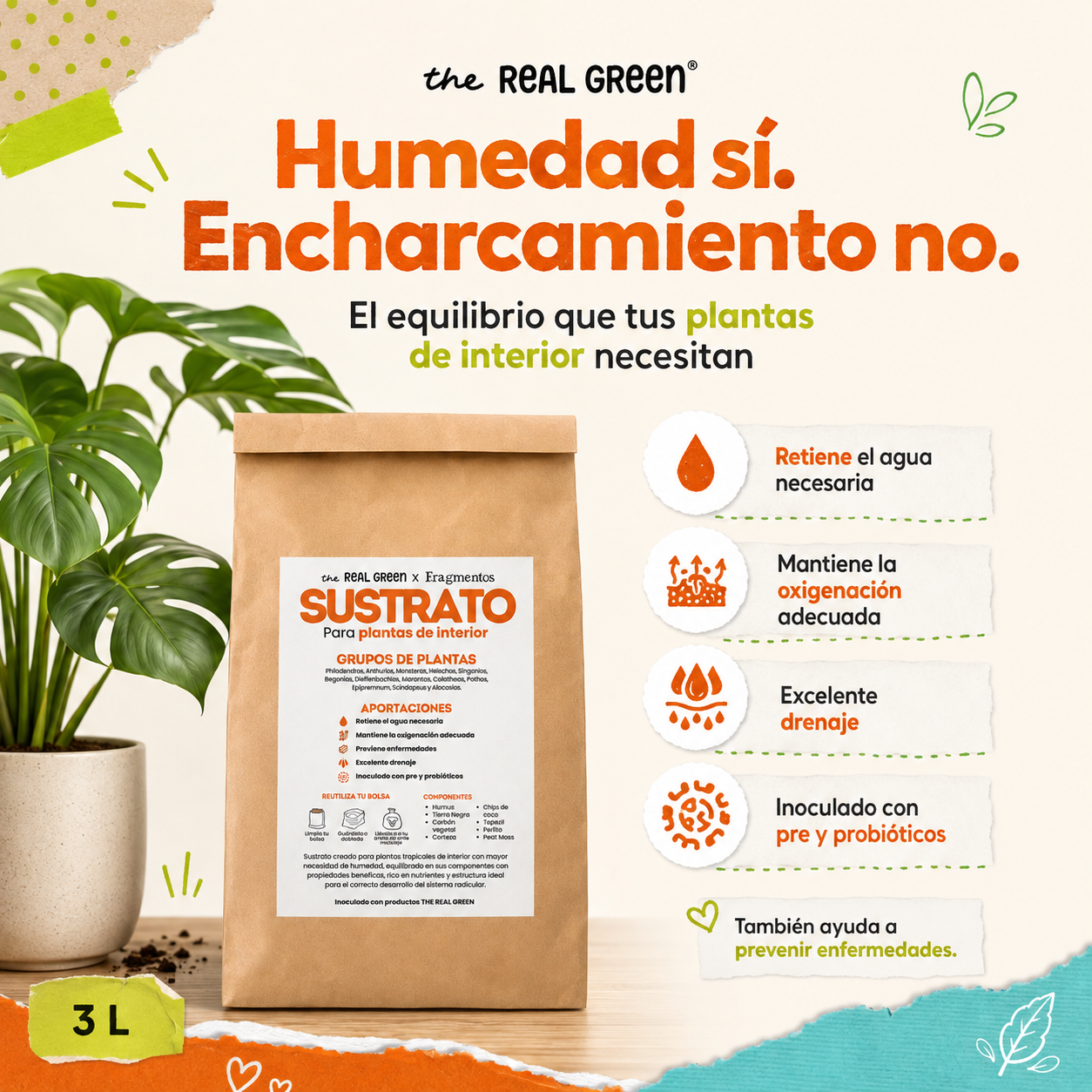 Sustrato para plantas de interior 3L