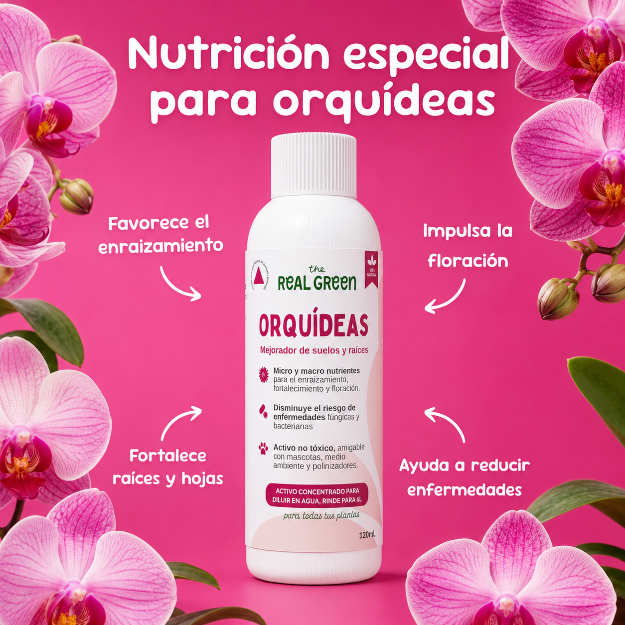 Enraizante para orquídeas Concentrado