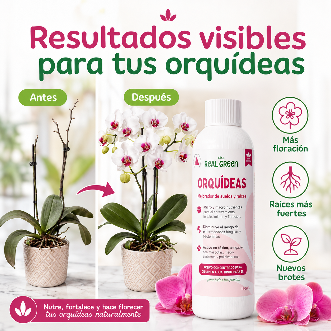 Enraizante para orquídeas Concentrado