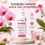 Enraizante para orquídeas Concentrado