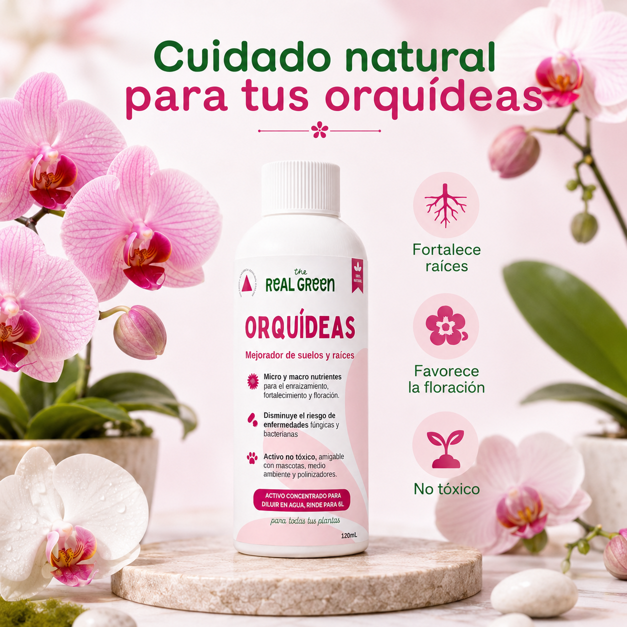 Enraizante para orquídeas Concentrado