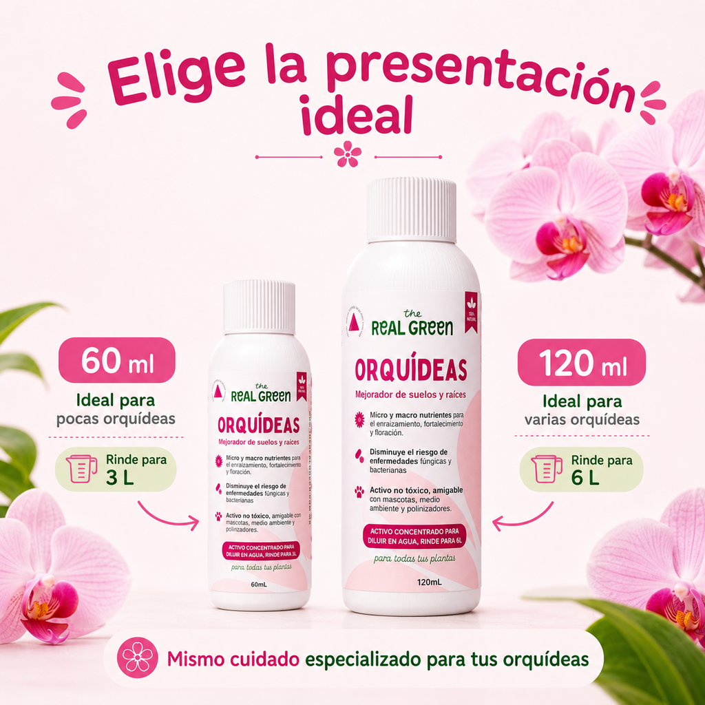 Enraizante para orquídeas Concentrado