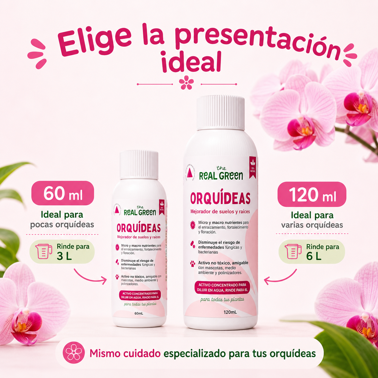Enraizante para orquídeas Concentrado