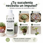 Enraizante para cactáceas y suculentas