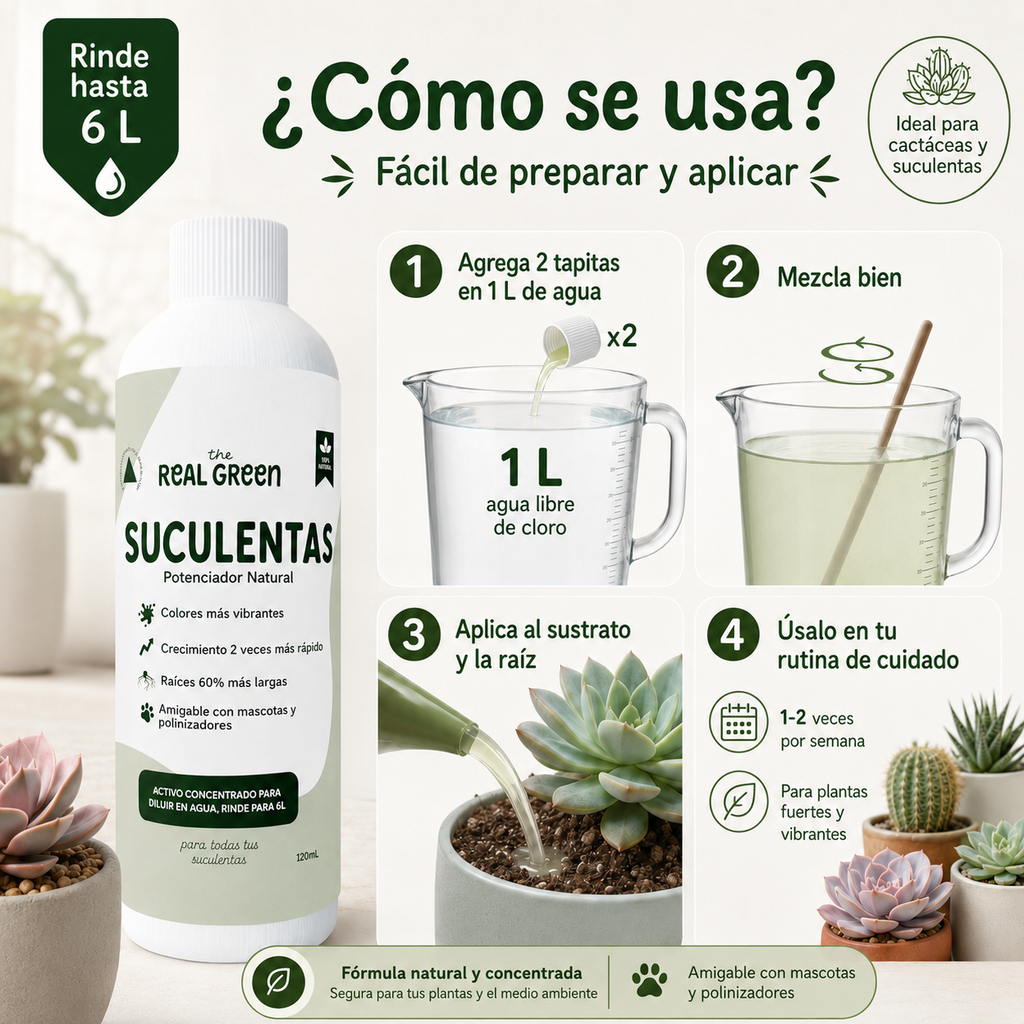 Enraizante para cactáceas y suculentas