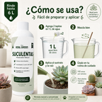 Enraizante para cactáceas y suculentas