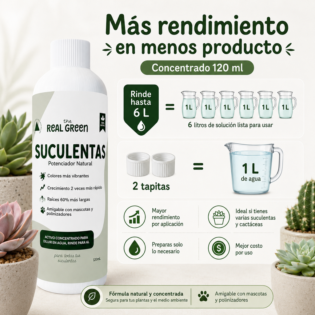 Enraizante para cactáceas y suculentas