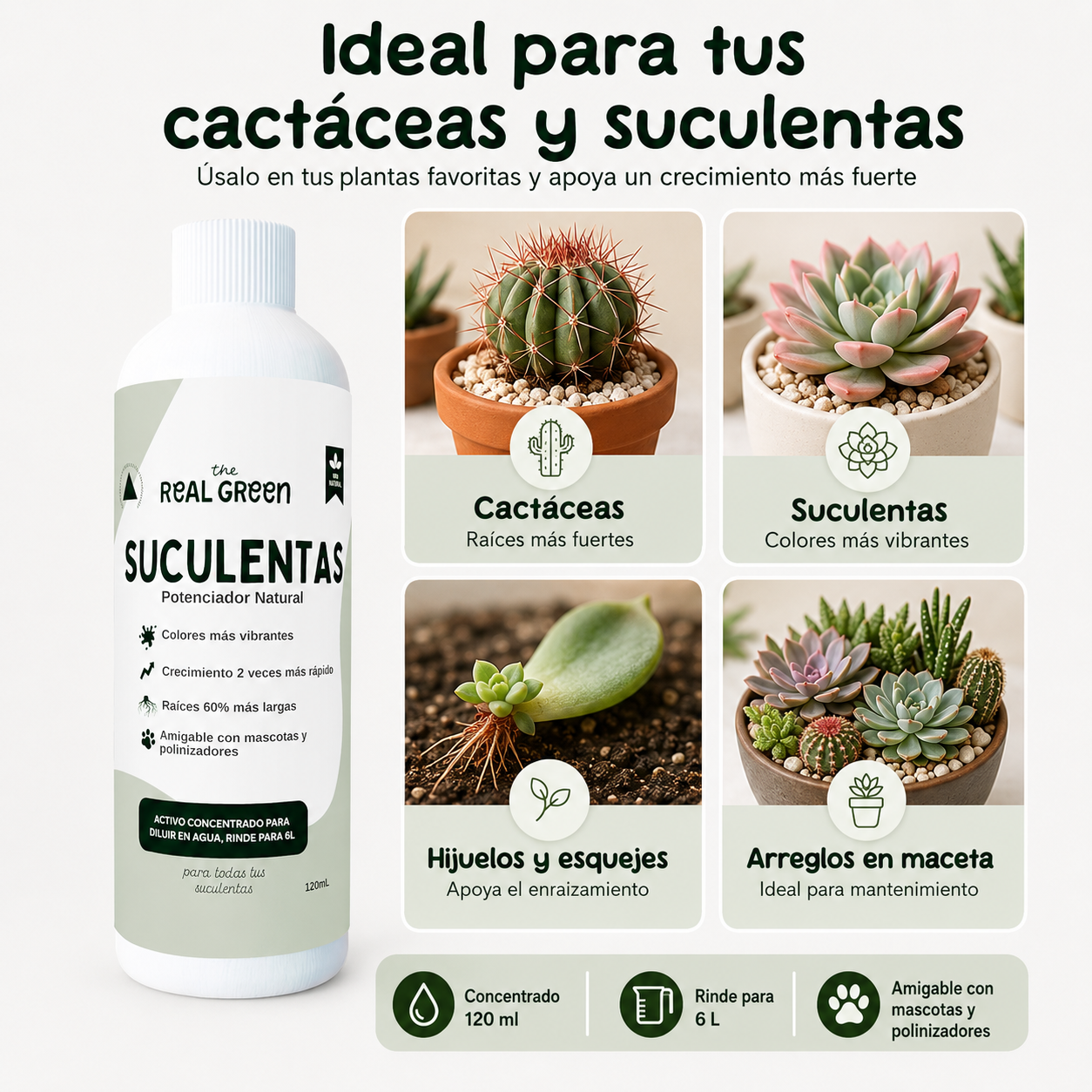 Enraizante para cactáceas y suculentas