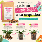 Sustrato para orquídeas 3L