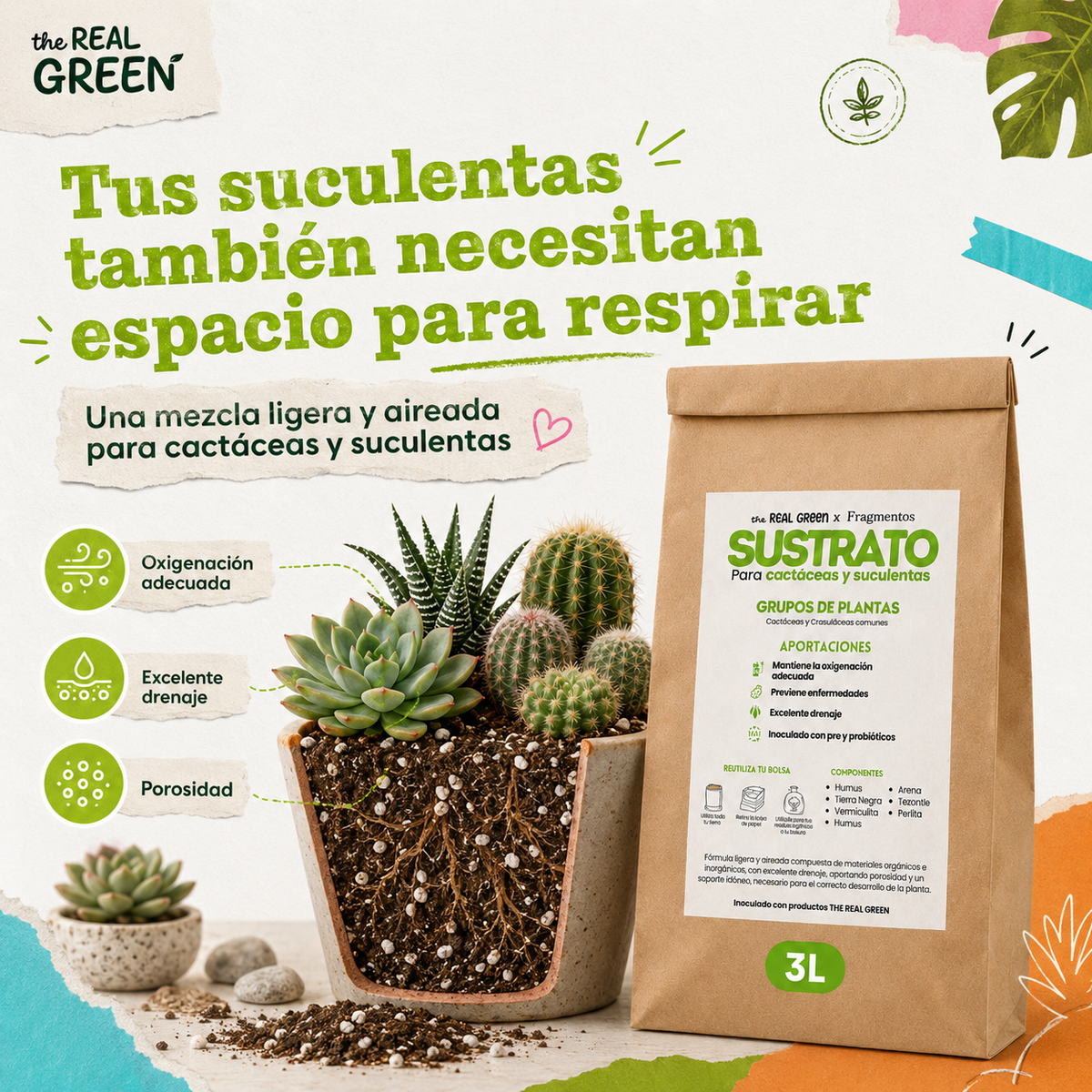 Sustrato para cactáceas y suculentas 3L