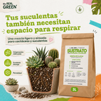 Sustrato para cactáceas y suculentas 3L