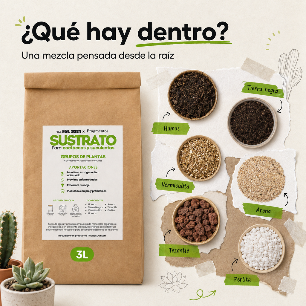 Sustrato para cactáceas y suculentas 3L