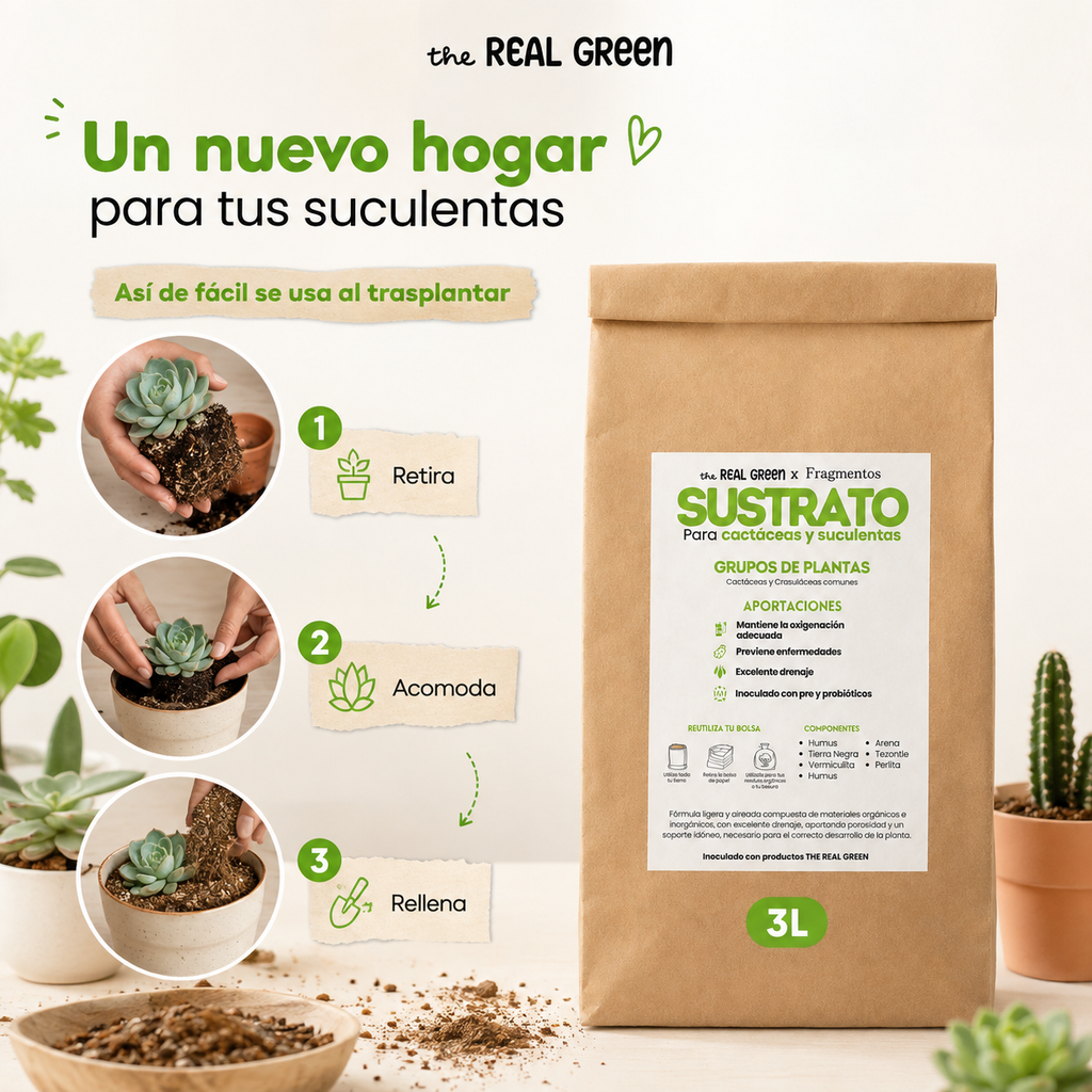Sustrato para cactáceas y suculentas 3L