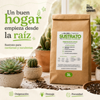 Sustrato para cactáceas y suculentas 3L